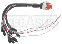 AiM Analog Input Harness for Strada 1.2 Digital Dashes