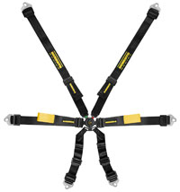 Schroth 2x2 Enduro FIA Harness