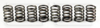 Click for a larger picture of Ford 2.0L Valve Spring Set of 8