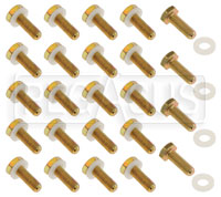 Click for a larger picture of Fill Plate Bolt & Washer Kit, 24 each