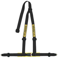 Click for a larger picture of Sabelt Clubman 3-Point Harness, Bolt-In with Pads